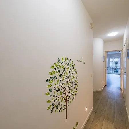 Scholekster - 0004 + Box 000 * Middelkerke