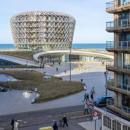 Scholekster - 0004 + Box 000 *