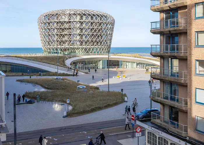 Scholekster - 0004 + Box 000 *